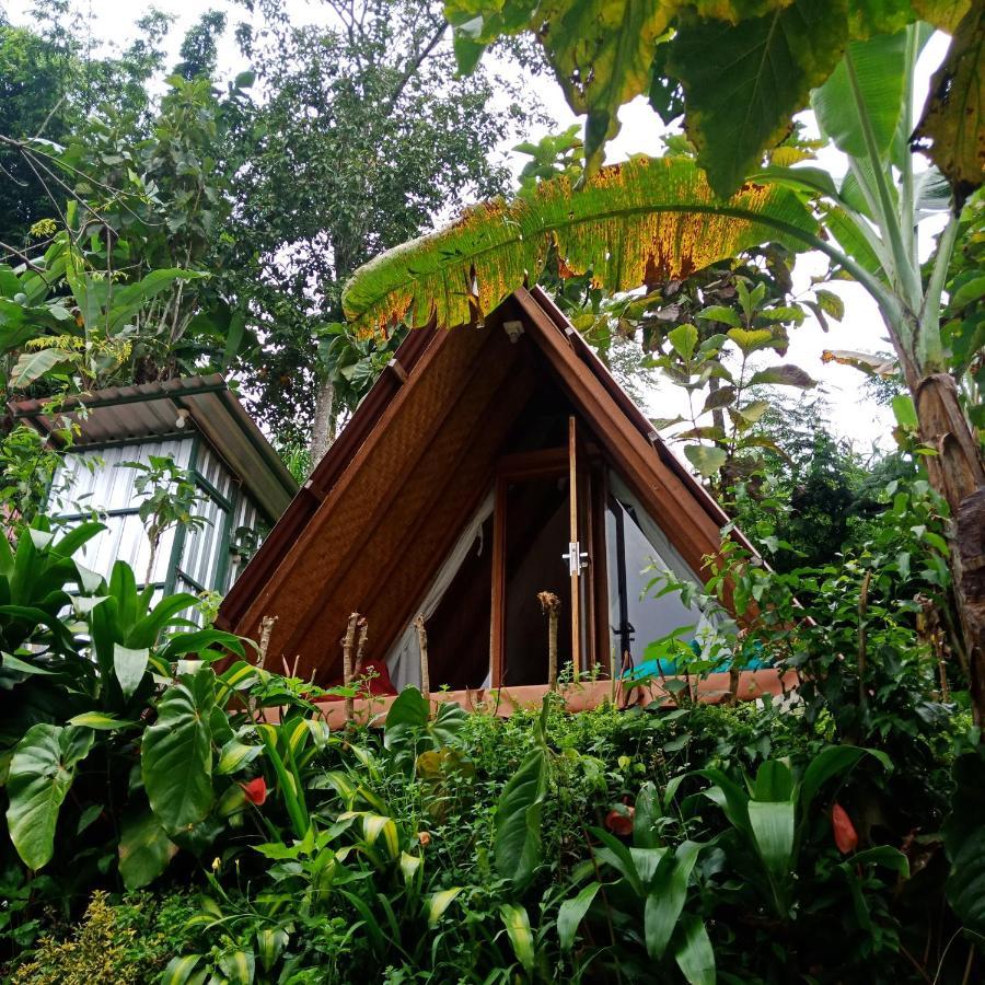 Eco Bedugul Adventurer Camp Bed & Breakfast Ngoại thất bức ảnh