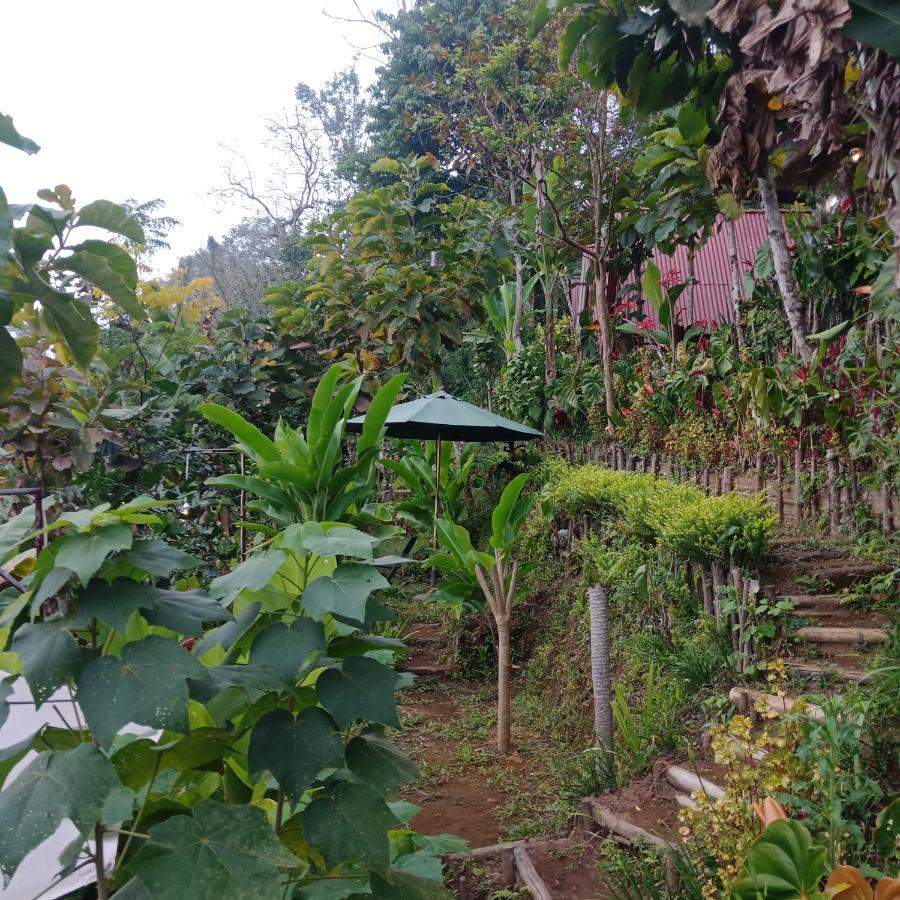 Eco Bedugul Adventurer Camp Bed & Breakfast Ngoại thất bức ảnh