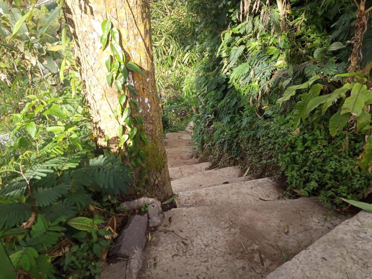 Eco Bedugul Adventurer Camp Bed & Breakfast Ngoại thất bức ảnh