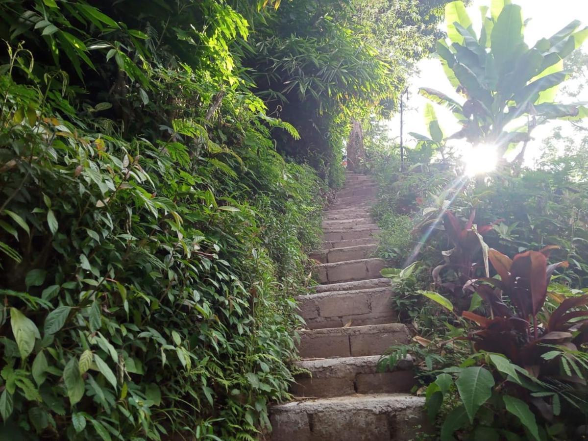 Eco Bedugul Adventurer Camp Bed & Breakfast Ngoại thất bức ảnh